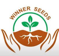 Win Seed Winner333 seeds